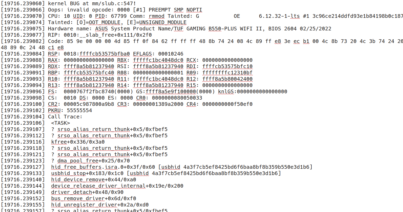 Kernel oops